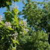 Отель B&B Almoetia, фото 11