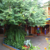 Отель CasaGrande Posada Ejecutiva, фото 12