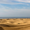 Отель Santa Monica Suites Hotel, фото 22