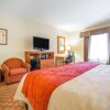 Отель Comfort Inn & Suites Las Vegas - Nellis, фото 4