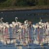 Отель Yala Villa, фото 34