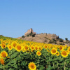 Отель Castillo De La Riba, фото 16