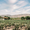 Отель Villas en Los Retoños, фото 39