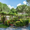 Отель Villaggio Residence Torre Saracena - Campsite, фото 25