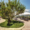 Отель Grand Hotel Hermitage & Villa Romita, фото 26