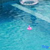 Отель Yunshang Grassland Fengsheng three time hot spring holiday villa, фото 23