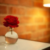 Отель Twin Rivers Bed and Breakfast, фото 18