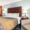 Отель Comfort Inn SW Omaha I-80, фото 5