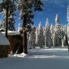 Отель Montecito Sequoia Lodge, фото 18