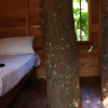 Отель Tree House-Midigama, фото 4