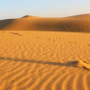 Отель Desert Safari Camp, фото 15