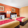 Отель Econo Lodge Jacksonville near Little Rock Air Force Base, фото 14
