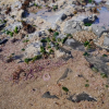 Отель West Beach Suites, фото 26