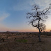 Отель Tomo Safari Lodge, фото 18