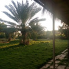 Отель Amrut Bagh resort, фото 15