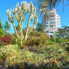 Отель Oceanside Terrace Apartment by Holiday Rental Management, фото 1