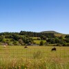 Отель Retro 1960's Caravan With Mountain Views, фото 12