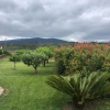 Отель Vila Delfina, фото 2