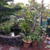 Отель House With 2 Bedrooms in Saint Pierre, With Pool Access, Enclosed Gard, фото 10