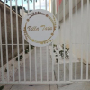 Отель Villa Tata Suites, фото 16