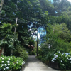 Отель CASA GOLDONI GRAMADO 3 Quartos, фото 15