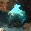 Отель Ningaloo Coral Bay, фото 18