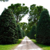 Отель Agriturismo al Colle, фото 10
