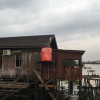Отель Arut Riverside Orangutan Guest house, фото 1