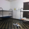 Отель The Sleeping Dog Hostel, фото 4