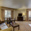 Отель Holiday Inn Express & Suites Montrose - Black Canyon Area, an IHG Hotel, фото 4