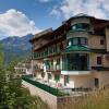 Отель Alp Resort Tiroler Adler, фото 13