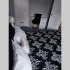 Отель Wonderland Guest House, фото 3