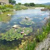 Отель Fattoria San Paolo Agriturismo, фото 27