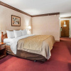 Отель Quality Inn Midway, фото 6