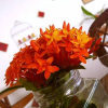 Отель Pousada São Pedro Flecheiras, фото 10