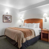 Отель Comfort Inn & Suites, фото 4