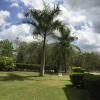 Отель Los Corozos Apartment G1 Guavaberry Golf & Country Club, фото 11