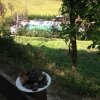 Отель Agriturismo Azienda Agricola Bortolotti, фото 8