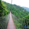 Отель Yalong Bay Earthly Paradise Birds Nest Resort, фото 38