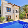 Отель Zeytin Villa, фото 1