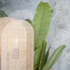 Отель Liiiving - Flores Design Experience 4.7, фото 16