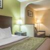 Отель Comfort Hotel & Suites, фото 26