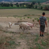 Отель Agriturismo Montepozzalino, фото 13