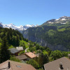 Отель Apartment Bristol Wengen 32363, фото 13