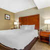 Отель Comfort Inn & Suites Phoenix North / Deer Valley, фото 4
