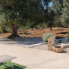 Отель Trullo Il Noce..Holiday Home, фото 15