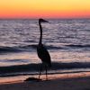Отель Ocean Sands 801, фото 20