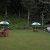 Отель Green Leaf Resort, фото 12