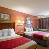 Отель Econo Lodge North, фото 5