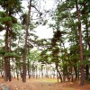 Отель Monsanposolmoe Village Pension, фото 1